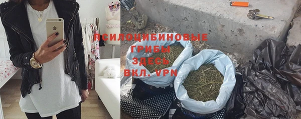 молекула духа Аркадак