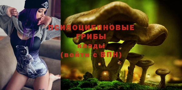 синтетический гашиш Арсеньев